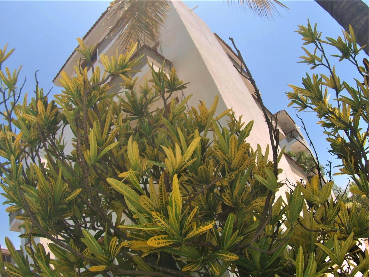 Suites Las Palmas Hotel Y Villas Manzanillo Eksteriør bilde