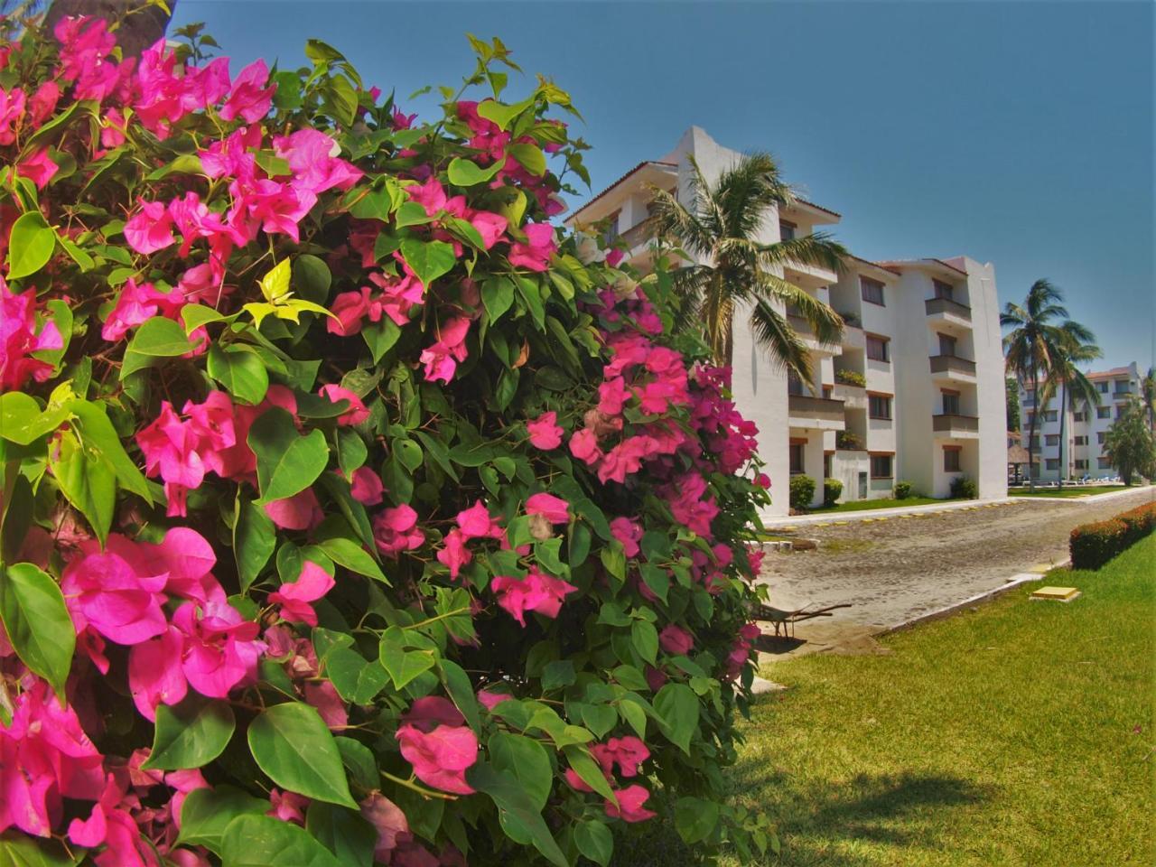 Suites Las Palmas Hotel Y Villas Manzanillo Eksteriør bilde
